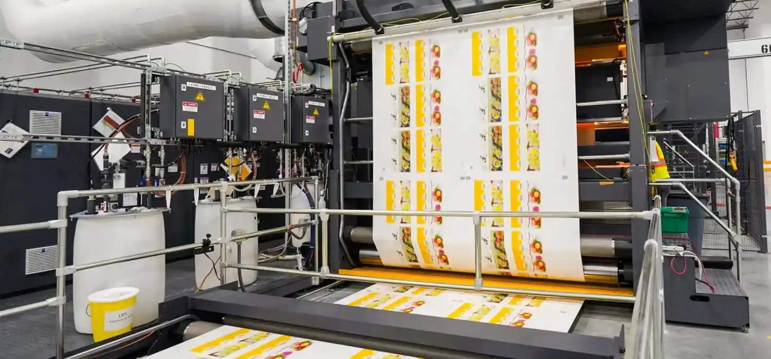 Printing & Packaging